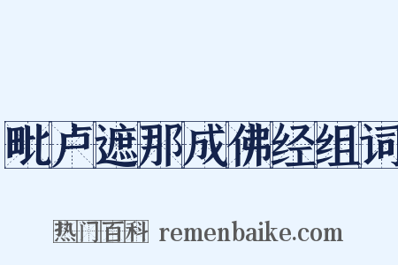 毗卢遮那成佛经组词是什么意思的图片